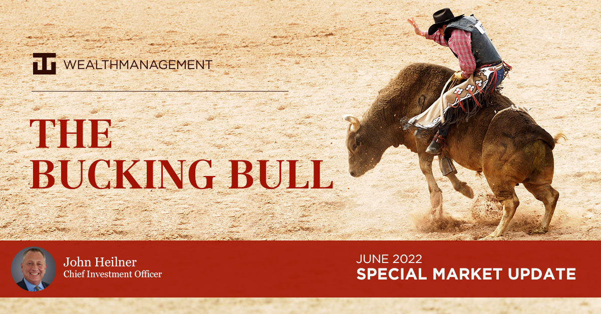 WT Wealth Management - The Bucking Bull